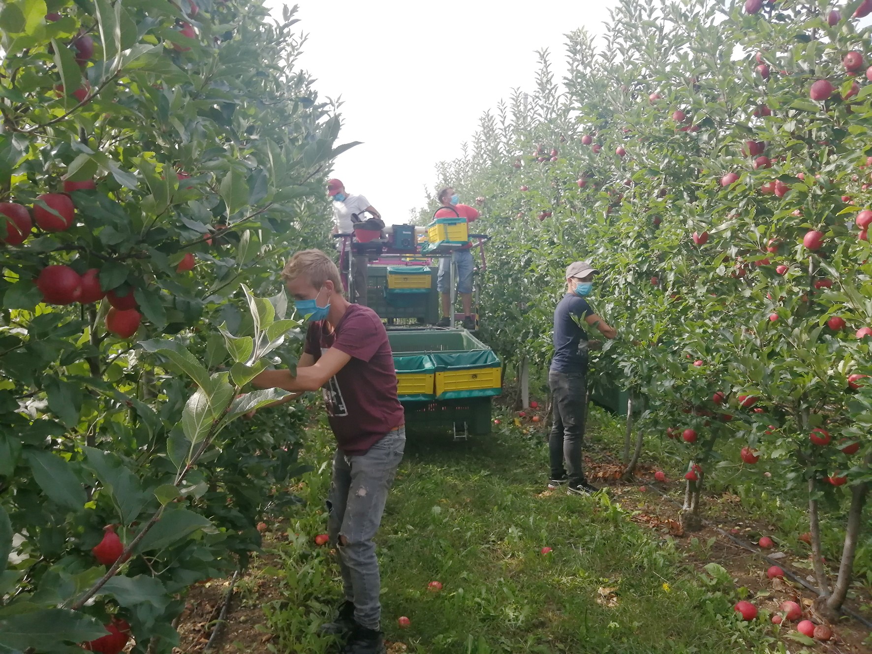 Coldiretti: tutela per le imprese e consumatori